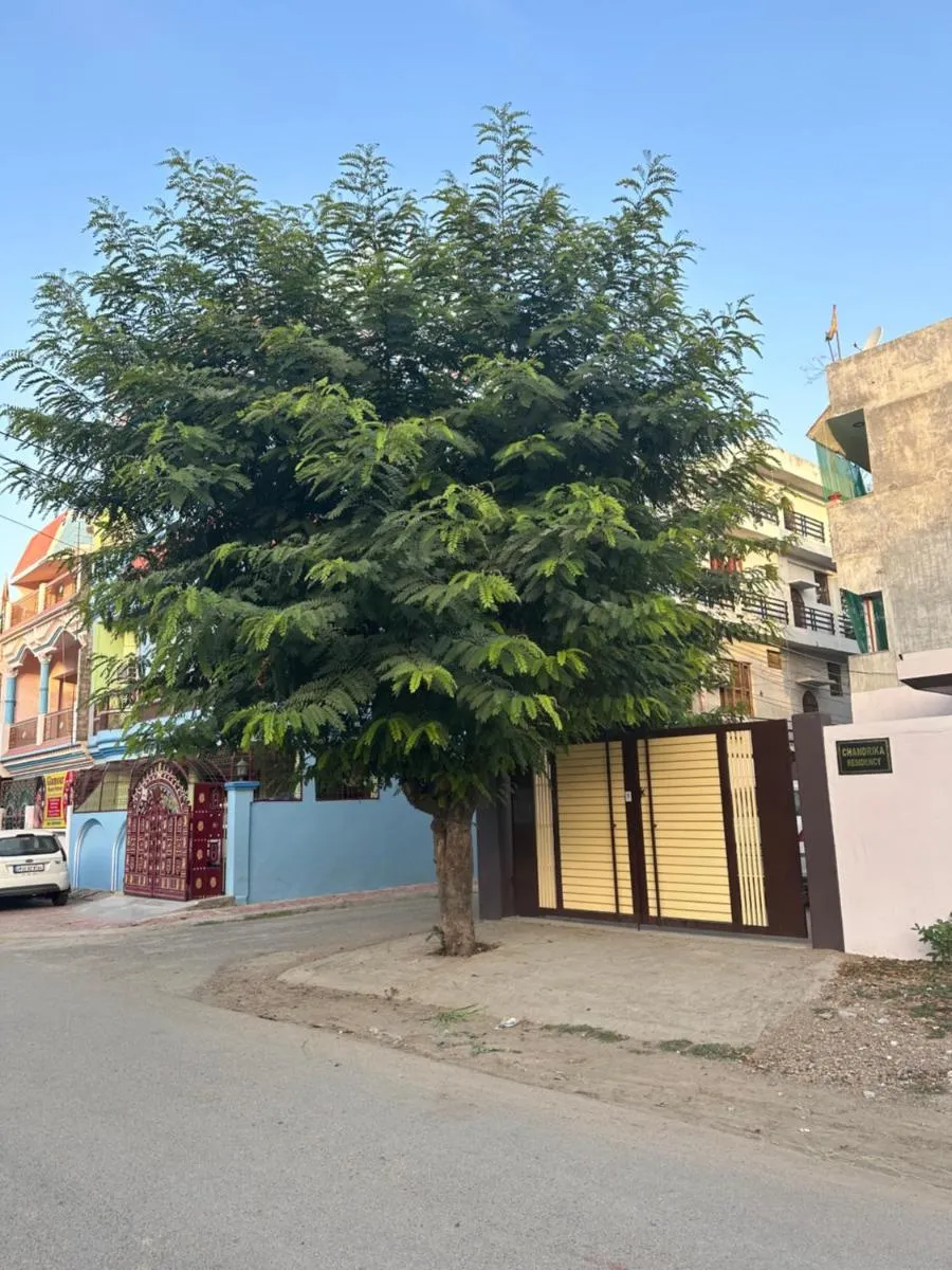 Image 1 of Chandrika Residency