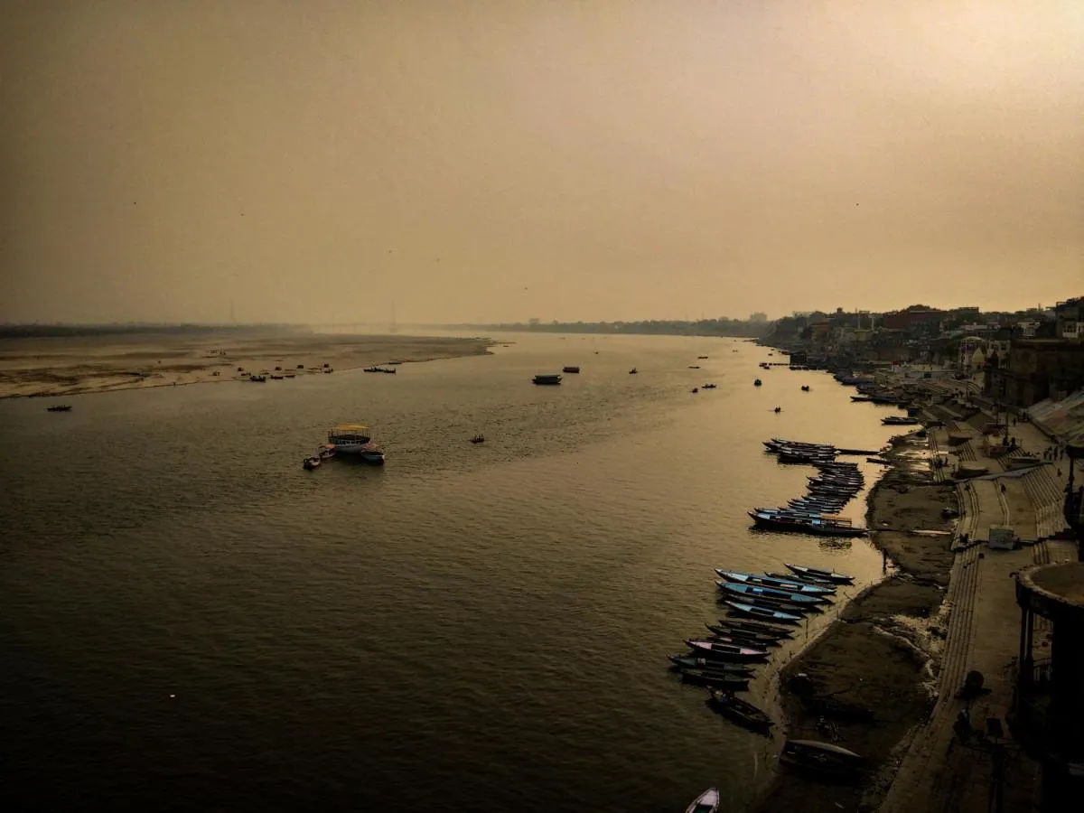 Image 3 of Dwivedi Hotels Hotel Elena