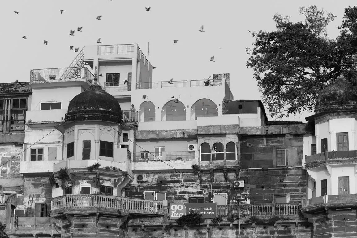 Image of Dwivedi Hotels Hotel Elena