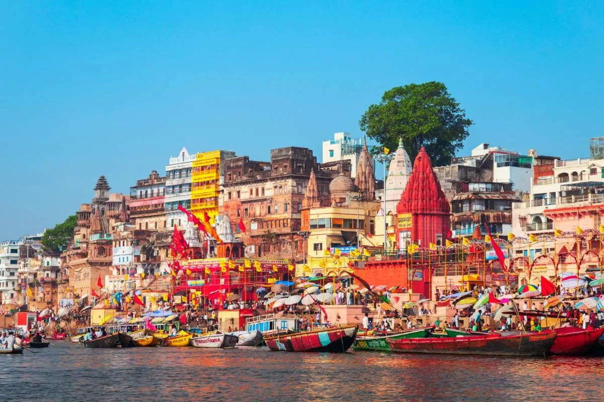 Image 2 of Golden Lotus Varanasi