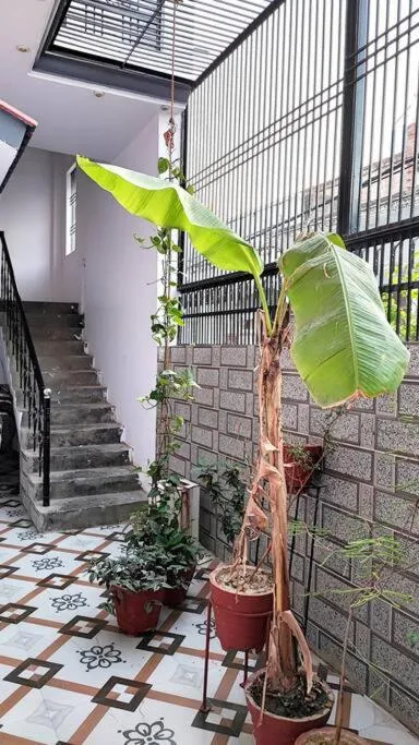 Image 5 of Kanha Homestay