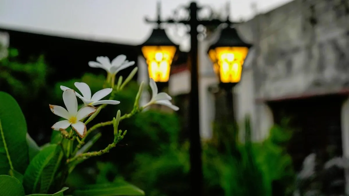 Image 5 of Stay Banaras – A Boutique Hotel